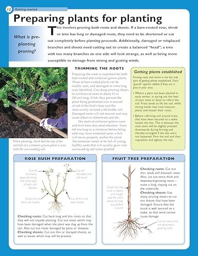 Home Gardener's Pruning Specialist Guide: Caring for Shrubs, Trees, Climbers, Hedges, Conifers, Roses and Fruit Trees (Creative Homeowner) A-Z of Plants & How to Prune Them, Creating Arches, and More by David Squire