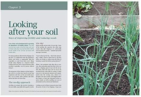 How to Grow Winter Vegetables by Charles Dowding