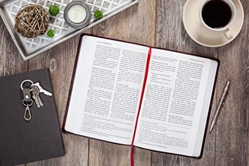 The Passion Translation New Testament (2020 Edition) Large Print Burgundy: With Psalms, Proverbs, and Song of Songs (Faux Leather) – A Perfect Gift for Confirmation, Holidays, and More by Brian Simmons