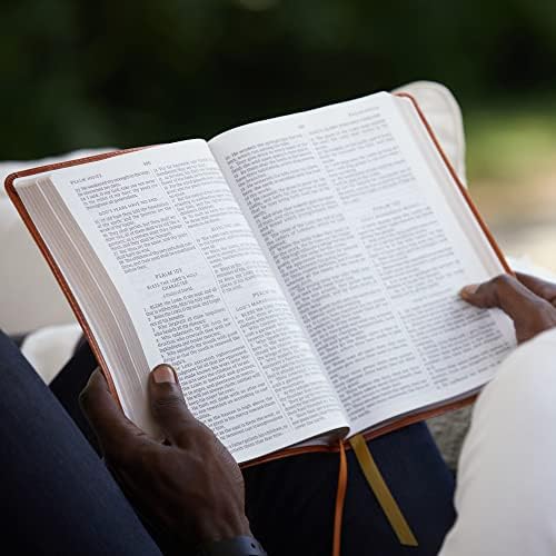 KJV Holy Bible: Large Print Thinline, Black Goatskin Leather, Premier collection, Red Letter, Comfort Print: King James Version by Thomas Nelson