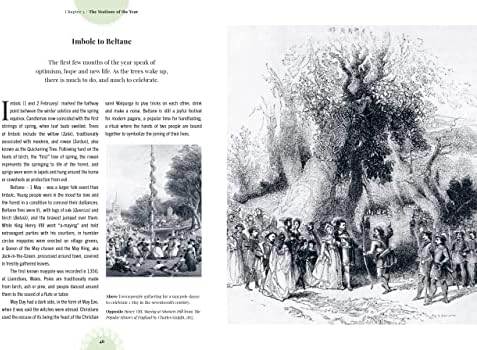Witch's Forest: Trees in magic, folklore and traditional remedies (Royal Botanic Gardens, Kew) by Royal Botanic Gardens Kew