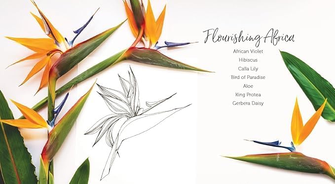 In Bloom: A Step-by-Step Guide to Drawing Lush Florals by Rachel Reinert