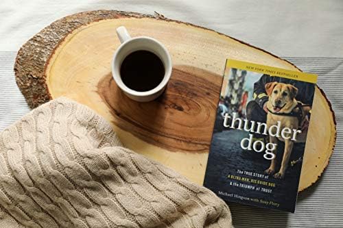Thunder Dog: The True Story of a Blind Man, His Guide Dog, and the Triumph of Trust by Michael Hingson