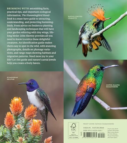 The Hummingbird Handbook: Everything You Need to Know about These Fascinating Birds by John Shewey