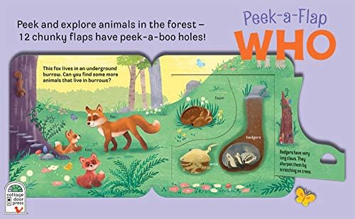 Who: Peek-a-Flap Board Book by Jaye Garnett