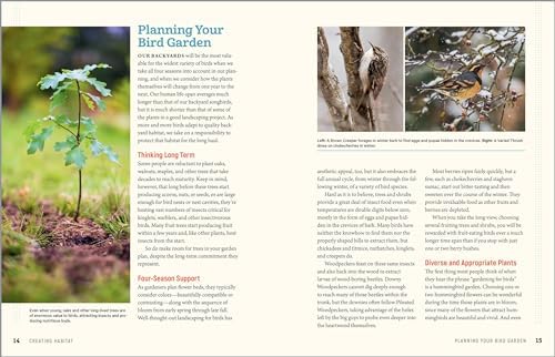 100 Plants to Feed the Birds: Turn Your Home Garden into a Healthy Bird Habitat by Laura Erickson