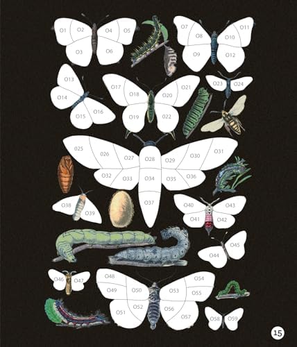 Brain Games - Sticker by Number - Vintage: Butterflies (28 Images to Sticker) by Publications International Ltd.