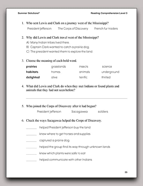 Summer Solutions Reading Comprehension Level 3 by SUMMER SOLUTIONS. MINUTES A DAY - MASTERY FOR A LIFETIME!