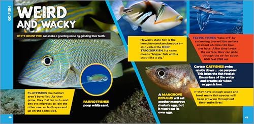 The Fascinating Ocean Book for Kids: 500 Incredible Facts! (Fascinating Facts) by Bethanie Hestermann