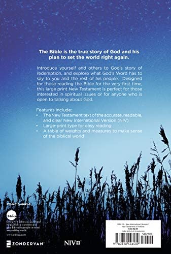 NIV, Outreach New Testament, Large Print, Paperback by Zondervan