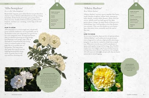 The Kew Gardener's Guide to Growing Roses: The Art and Science to Grow with Confidence (Volume 8) (Kew Experts, 8) by Royal Botanic Gardens Kew