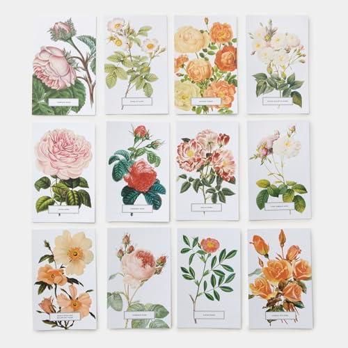 Roses: 100 Postcards from the Archives of The New York Botanical Garden by The New York Botanical Garden