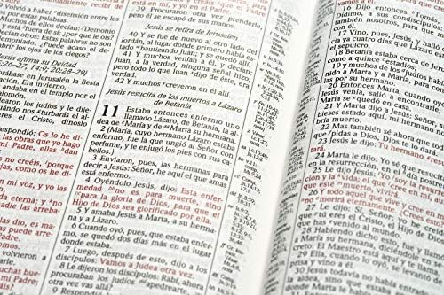 RVR 1960 Biblia de estudio Scofield, tapa dura (Spanish Edition) by B&H Español Editorial Staff