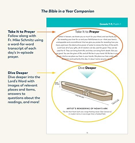 The Bible in a Year Companion, Volume I by Fr. Mike Schmitz