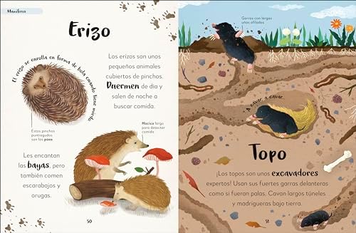 Mi primer libro de animales (The Bedtime Book of Animals): Todo lo que quieres saber de tus animales preferidos (Spanish Edition) by DK