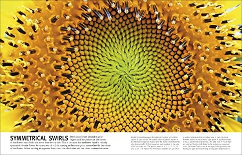 Trees, Leaves, Flowers & Seeds: A Visual Plant Encyclopedia for Kids (DK Our World in Pictures) by DK