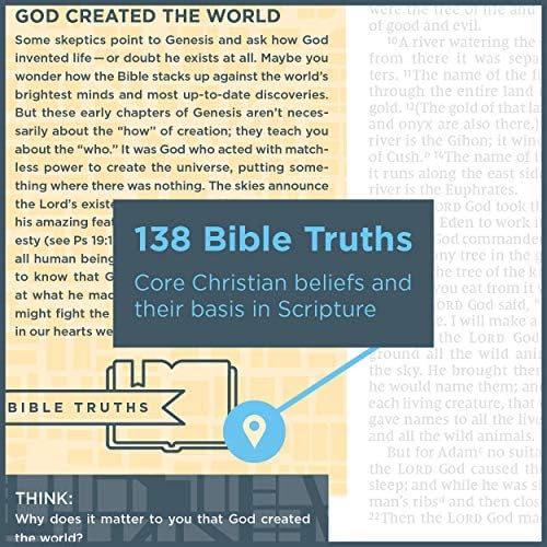 NIV, Starting Place Study Bible (An Introductory Study Bible), Hardcover, Tan, Comfort Print: An Introductory Exploration of Studying God's Word by Zondervan