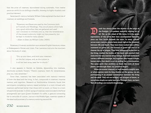 Wicked Roots: Forgotten Folklore and Ancient Myths of Familiar Plants by Lauren Moss