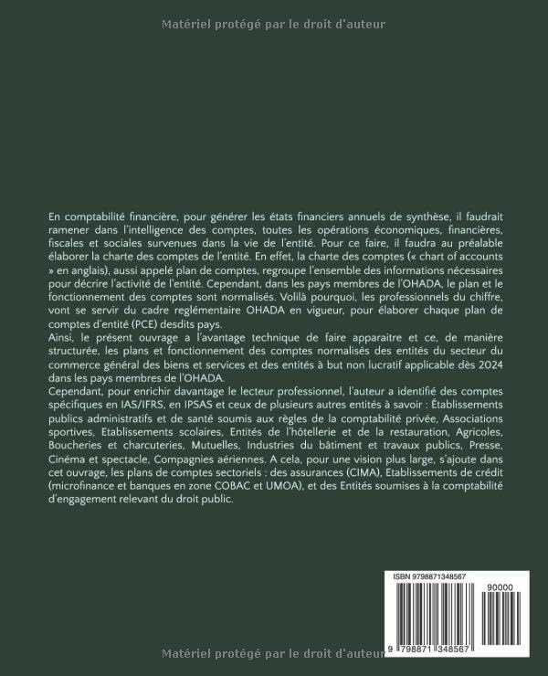 L’Intelligence des comptes dans les entités de l’espace OHADA dès 2024 (French Edition) by Martin Dieudonné NDENE