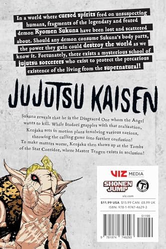 Jujutsu Kaisen, Vol. 23 by Gege Akutami