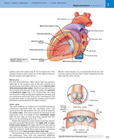 Gray's Basic Anatomy with Student Consult by Richard L. Drake