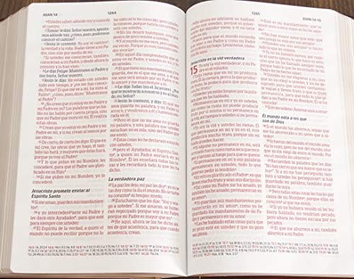 Biblia Peshitta. Tapa dura | Peshitta Bible, Hardcover (Spanish Edition) by B&H Español Editorial Staff