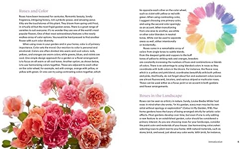 The Color of Roses: A Curated Spectrum of 300 Blooms by Danielle Dall'Armi Hahn