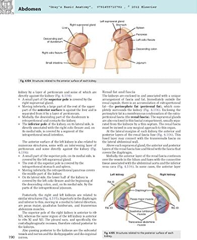 Gray's Basic Anatomy with Student Consult by Richard L. Drake