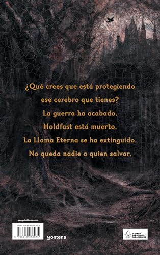 Alchemised (Edición especial, tapa dura) / Alchemised (Special Edition, Hardcover) (Spanish Edition) by SenLinYu