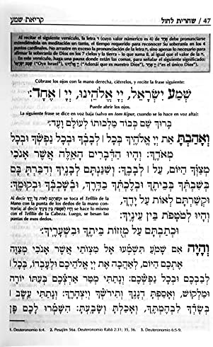 Sidur Tehilat Hashem Completo. Hebreo - Espanol - Fonetica E Instrucciones. Tamano Mediano (Spanish Language) by Rab Natan Grunblatt