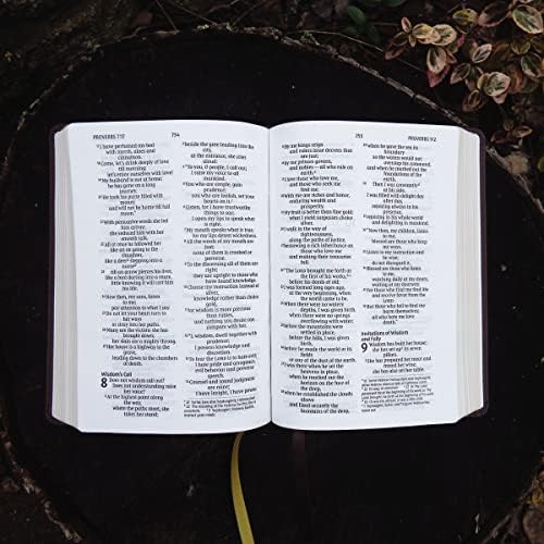 NIV, Larger Print Compact Bible, Leathersoft, Brown, Red Letter, Comfort Print by Zondervan