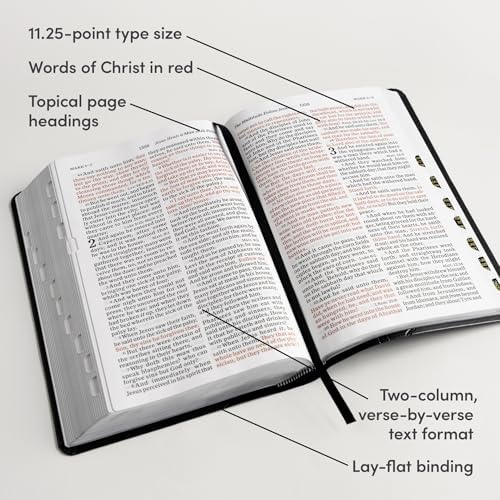 KJV Large Print Personal Size Reference Bible, Charcoal LeatherTouch Crown of Thorns, Indexed, KJV Holy Bible, Red Letter, Pure Cambridge Text, Presentation Page, Cross-References, Full-Color Maps by Holman Bible Publishers