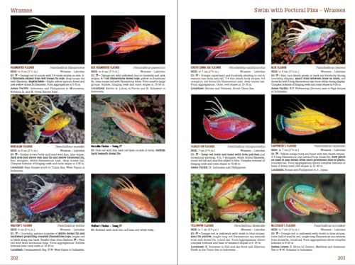 Reef Fish Identification Tropical Pacific 2nd Edition by Paul Humann