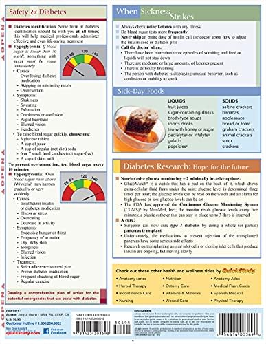 Diabetes Care (Quick Study Health) by Jody Grahn