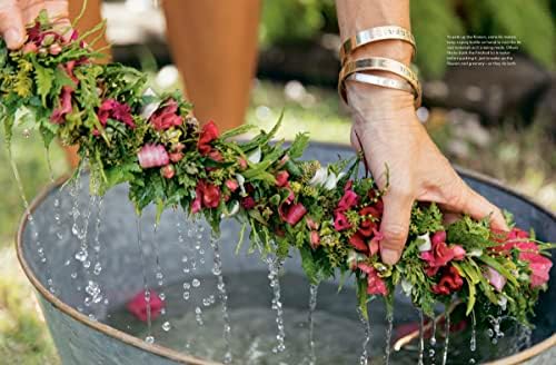 Lei Aloha: Celebrating the Vibrant Flowers and Lei of Hawai'i by Meleana Estes