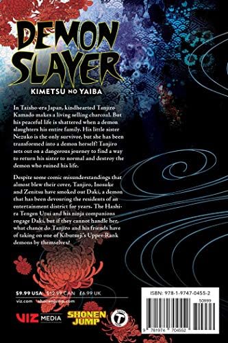 Demon Slayer: Kimetsu no Yaiba, Vol. 10: Human and Demon by Koyoharu Gotouge