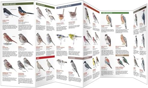 Backyard Birds of Eastern/Central North America: A Folding Pocket Guide to Common Backyard Birds (All About Birds) by The Cornell Lab of Ornithology