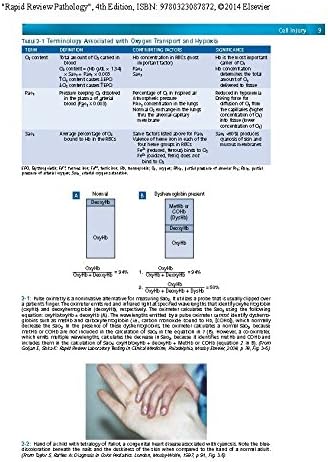Rapid Review Pathology: With STUDENT CONSULT Online Access by Edward F. Goljan MD