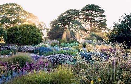 Dreamscapes: Inspiration and Beauty in Gardens Near and Far by Claire Takacs