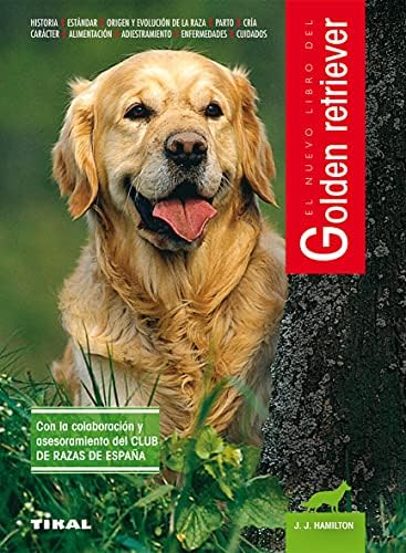 Golden retriever (Spanish Edition) by J. J. Hamilton