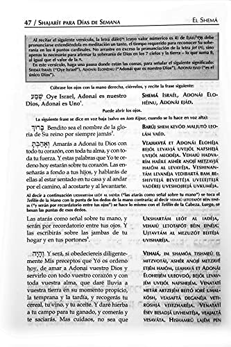 Sidur Tehilat Hashem Hebreo/espanol/fonetica by Natan Grunblatt