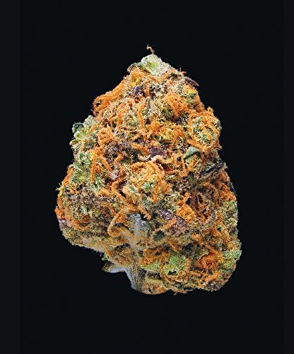 Green: A Field Guide to Marijuana: (Books about Marijuana, Guide to Cannabis, Weed Bible) by Dan Michaels