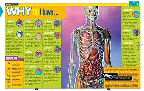 National Geographic Kids Why?: Over 1,111 Answers to Everything (NGK Why?) by Crispin Boyer