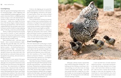 Storey's Guide to Raising Chickens, 4th Edition: Breed Selection, Facilities, Feeding, Health Care, Managing Layers & Meat Birds by Gail Damerow