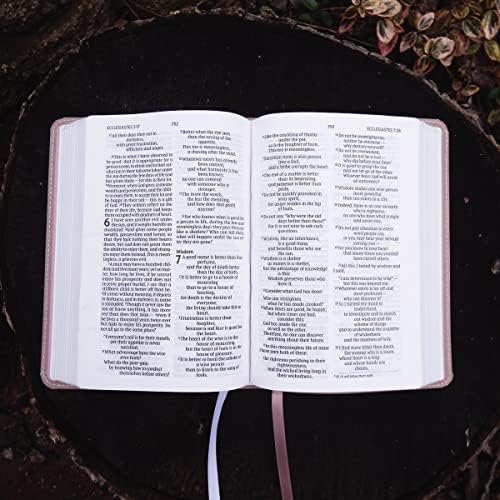 NIV, Larger Print Compact Bible(8.5-Point Print Size), Leathersoft, Pink, Red Letter, Comfort Print by Zondervan