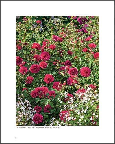 David Austin's English Roses by David Austin