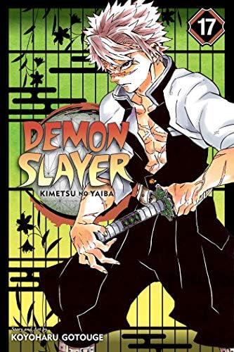 Demon Slayer: Kimetsu no Yaiba, Vol. 17: Successors by Koyoharu Gotouge
