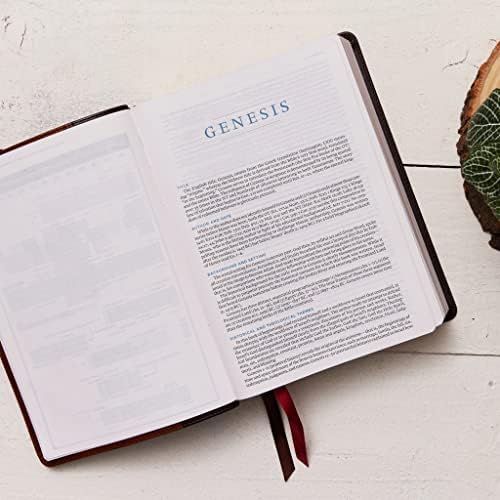 ESV, MacArthur Study Bible, Hardcover: Unleashing God's Truth One Verse at a Time (Holy Bible, English Standard Version) by Thomas Nelson