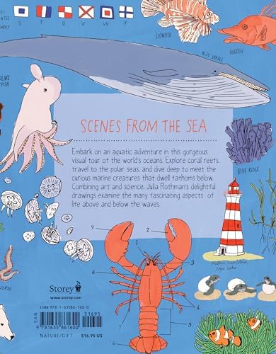 Ocean Anatomy: The Curious Parts & Pieces of the World under the Sea by Julia Rothman