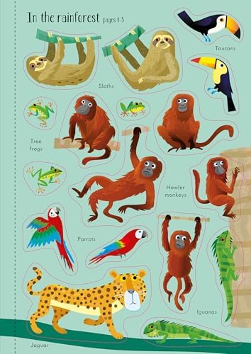 Little First Stickers Animals: A Sticker Book About Wild Animals and Vibrant Scenes for Children (Ages 3-5) by Kristie Pickersgill